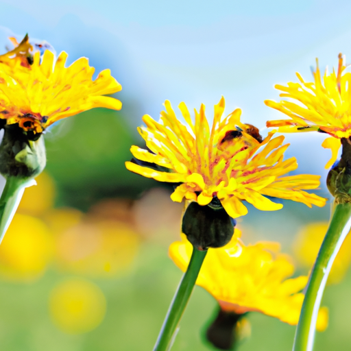 Are There Any Natural Remedies To Repel Flies?