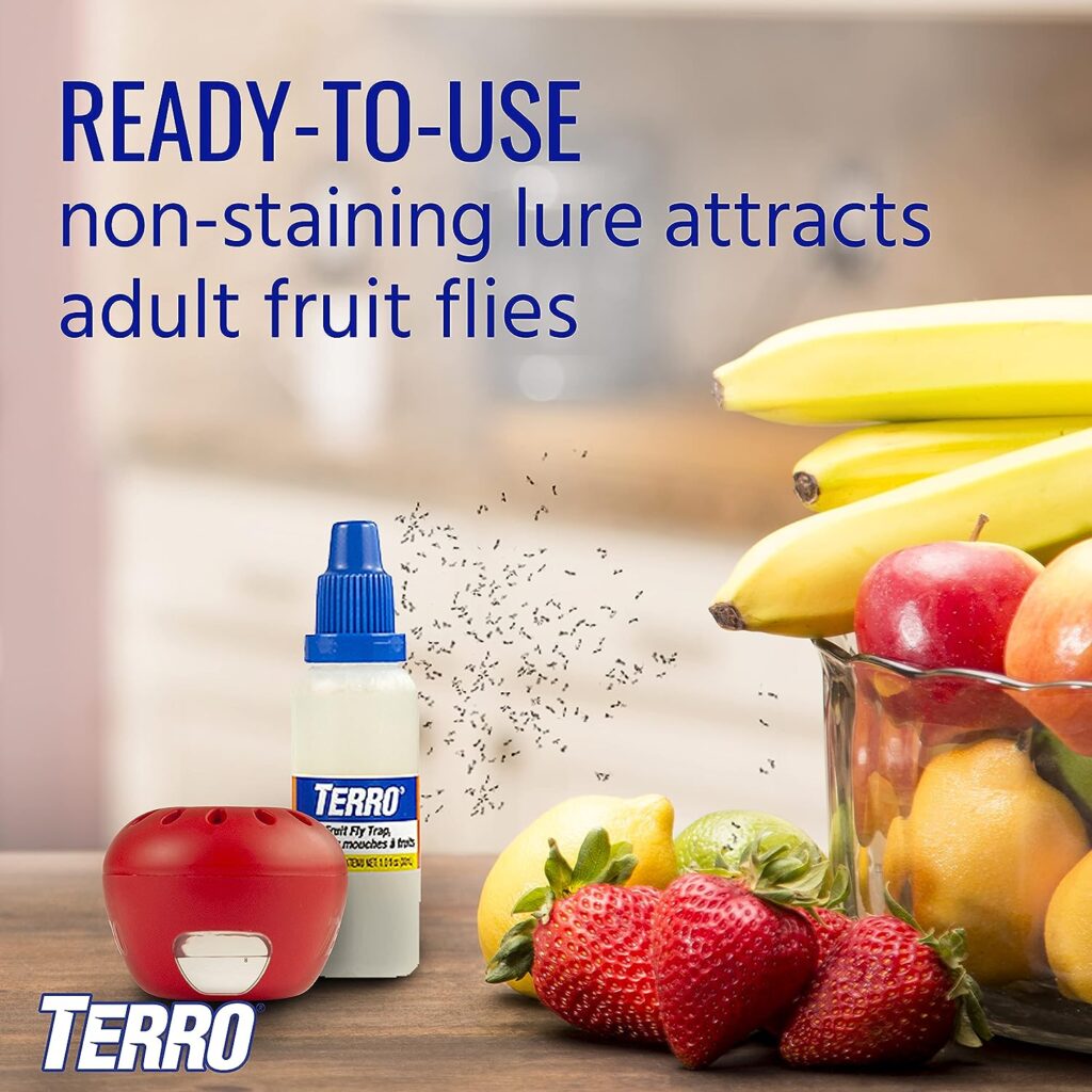 TERRO T2502 Ready-to-Use Indoor Fruit Fly Trap with Built in Window - 2 Traps + 90 day Lure Supply